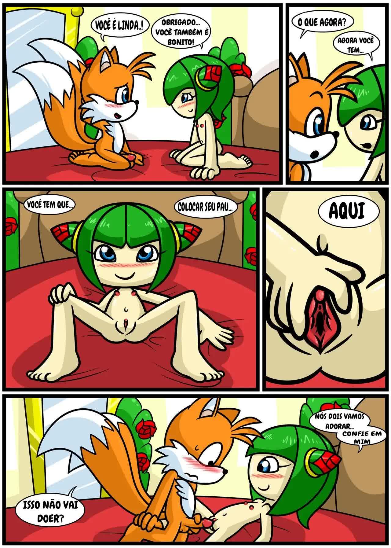 Tails & Cosmo's First Time Hentai