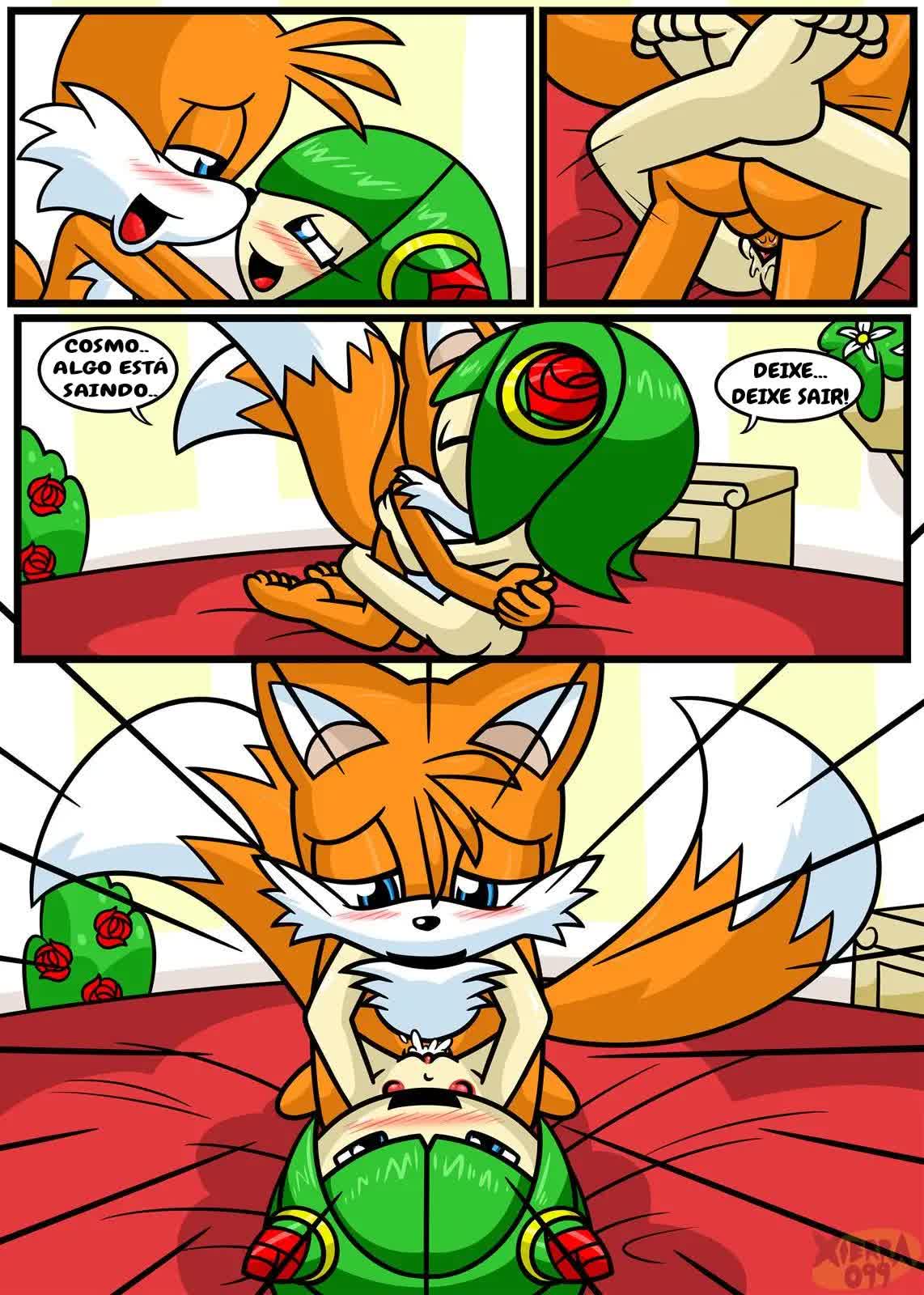 Tails & Cosmo's First Time Hentai