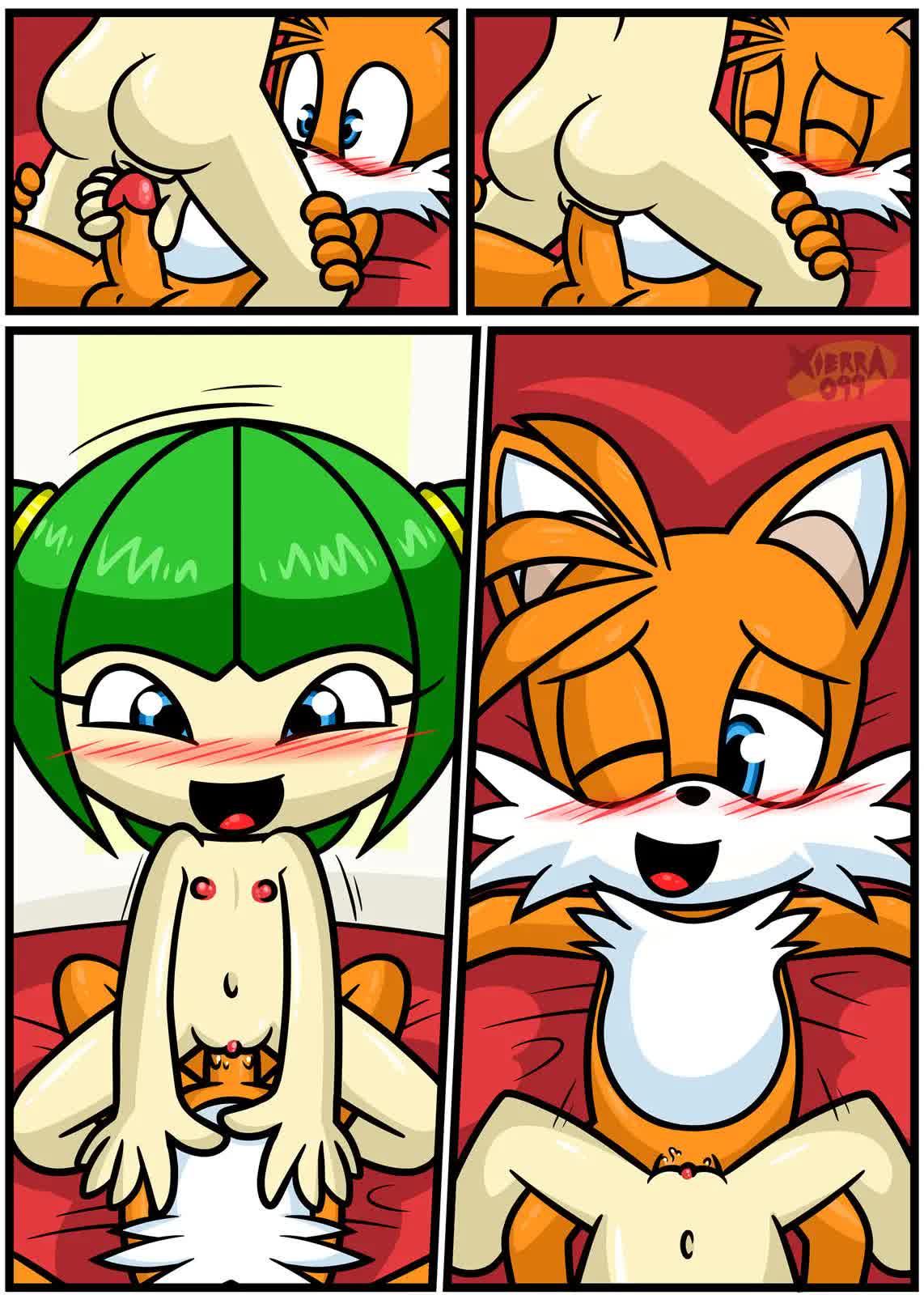 Tails & Cosmo's First Time Hentai